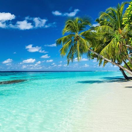 Equa Reef Maldives Otel Addu City Dış mekan fotoğraf