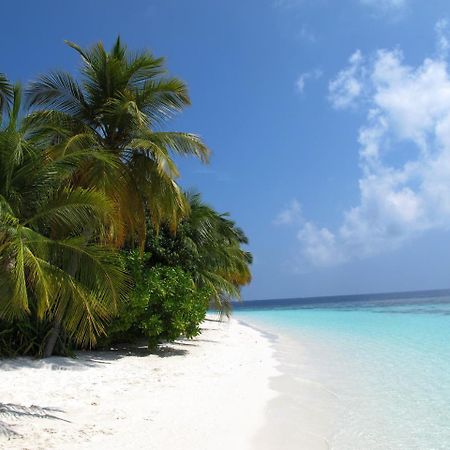 Equa Reef Maldives Otel Addu City Dış mekan fotoğraf