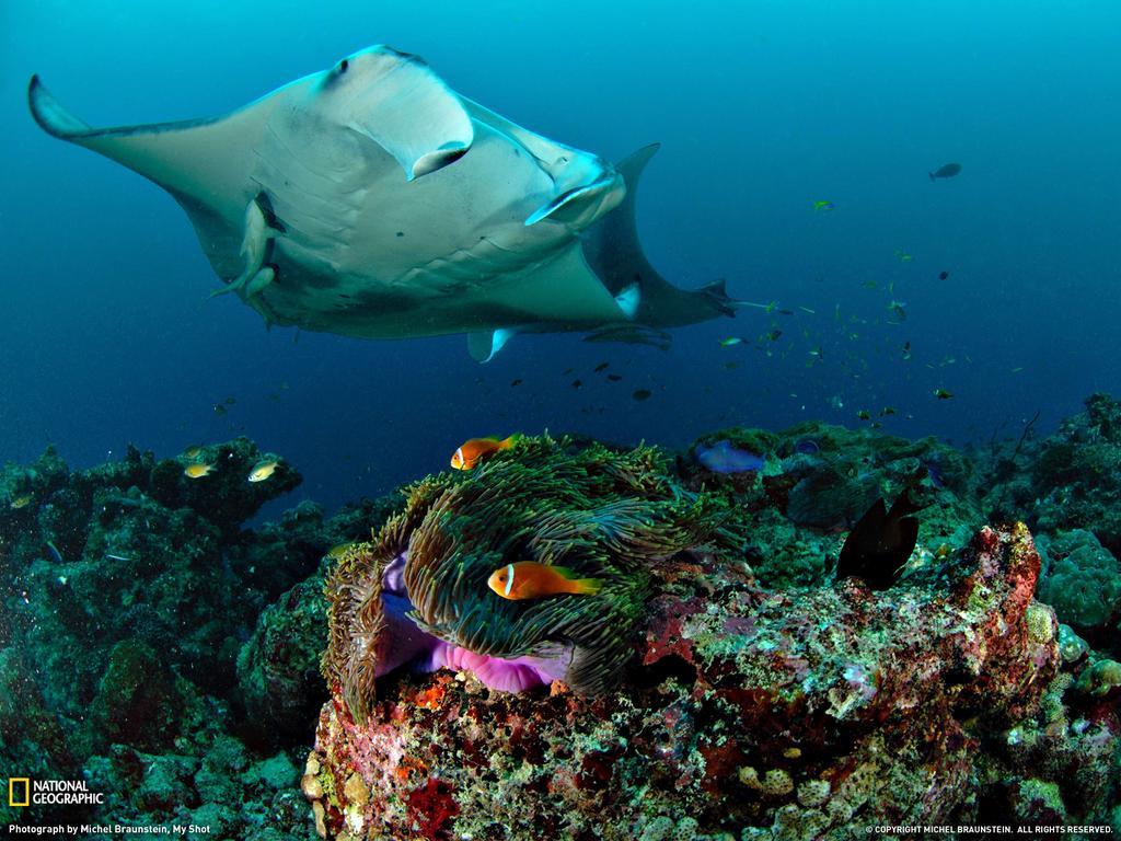 Equa Reef Maldives Otel Addu City Dış mekan fotoğraf