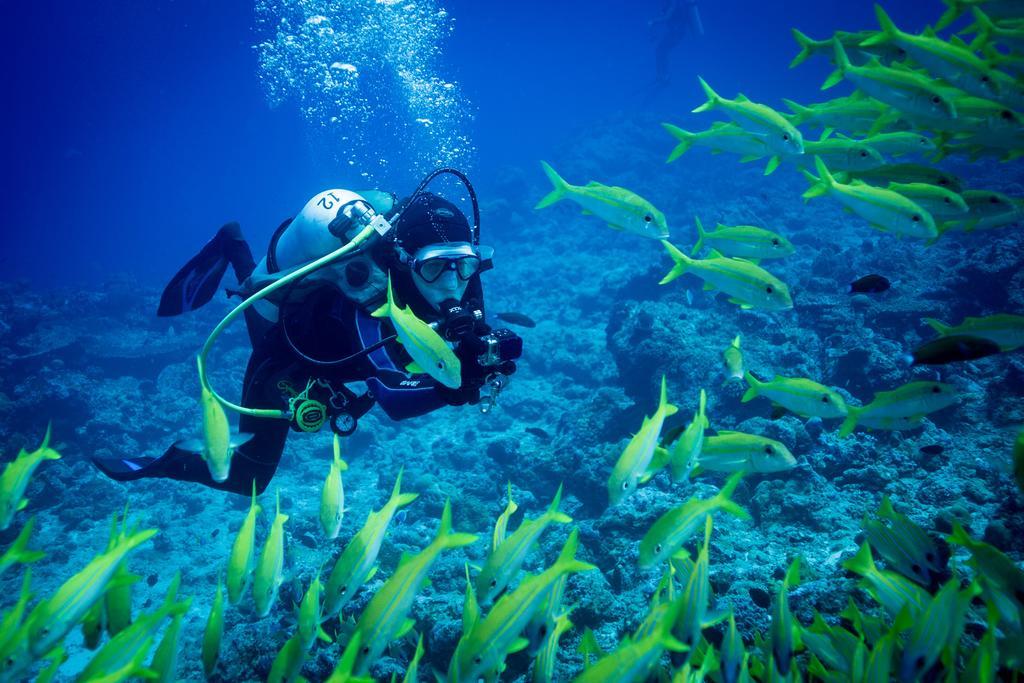 Equa Reef Maldives Otel Addu City Dış mekan fotoğraf