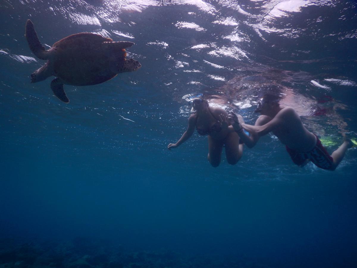Equa Reef Maldives Otel Addu City Dış mekan fotoğraf