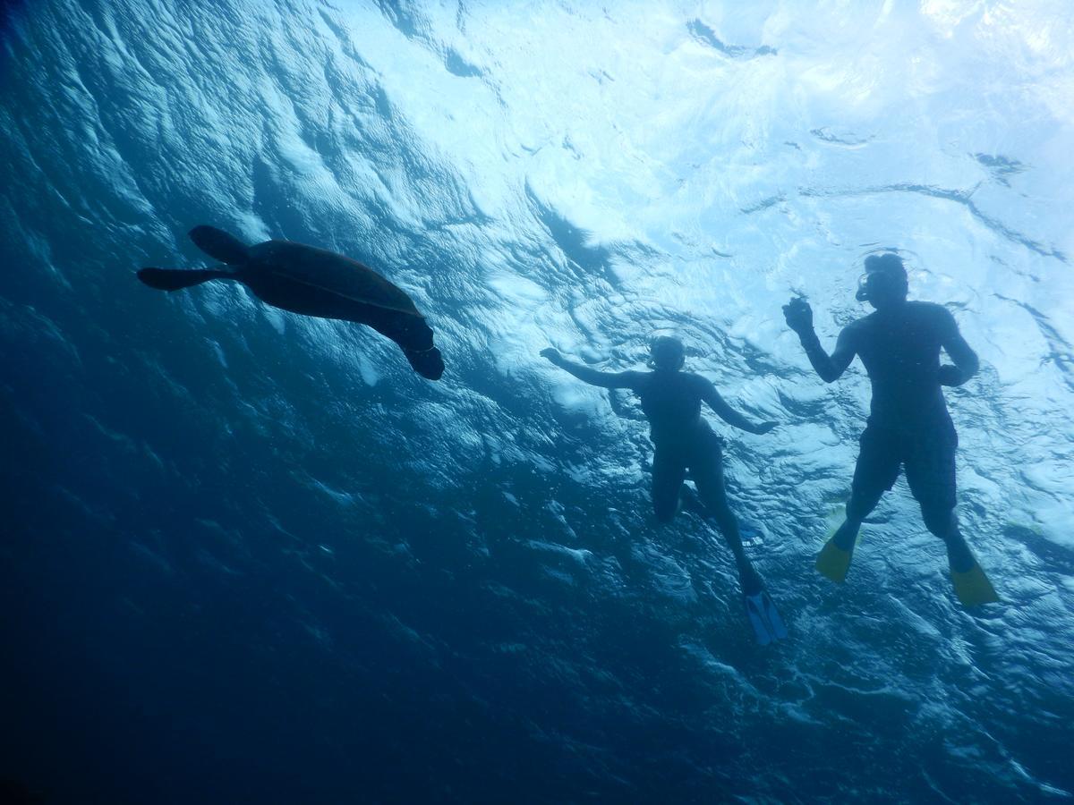 Equa Reef Maldives Otel Addu City Dış mekan fotoğraf