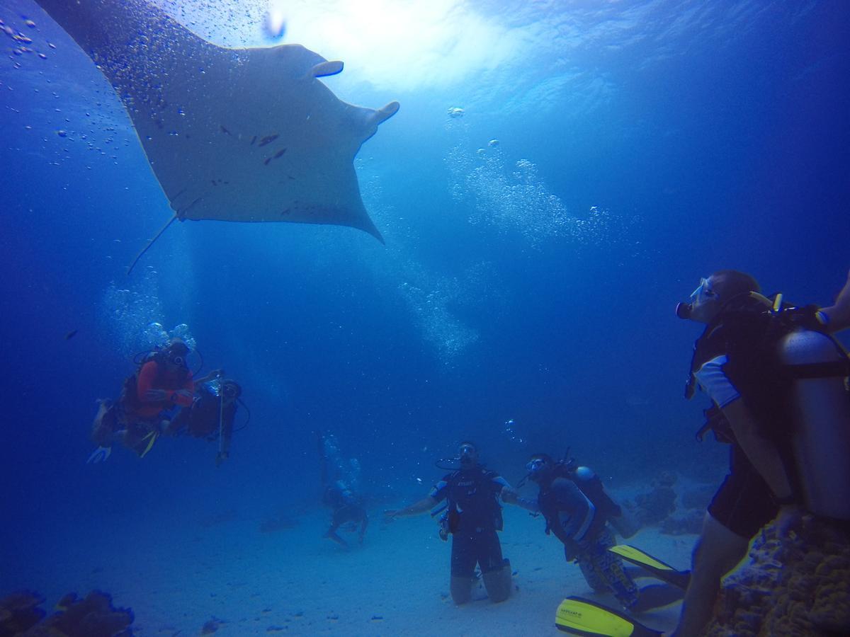 Equa Reef Maldives Otel Addu City Dış mekan fotoğraf