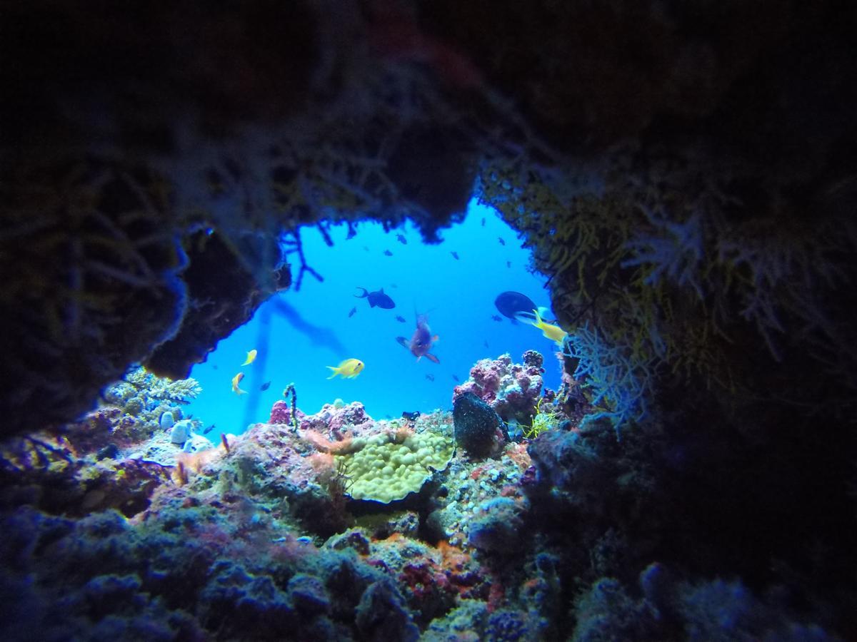 Equa Reef Maldives Otel Addu City Dış mekan fotoğraf