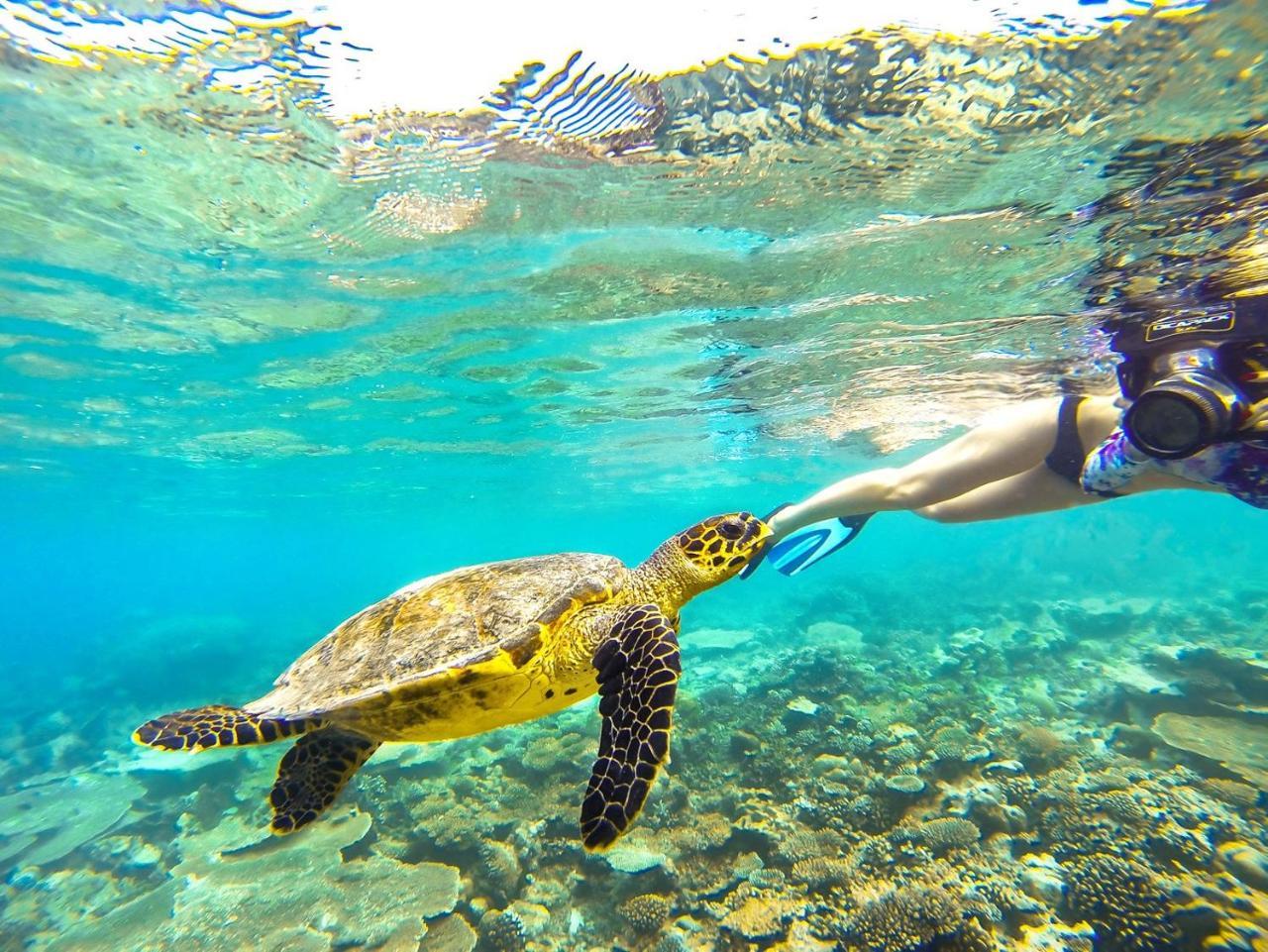 Equa Reef Maldives Otel Addu City Dış mekan fotoğraf