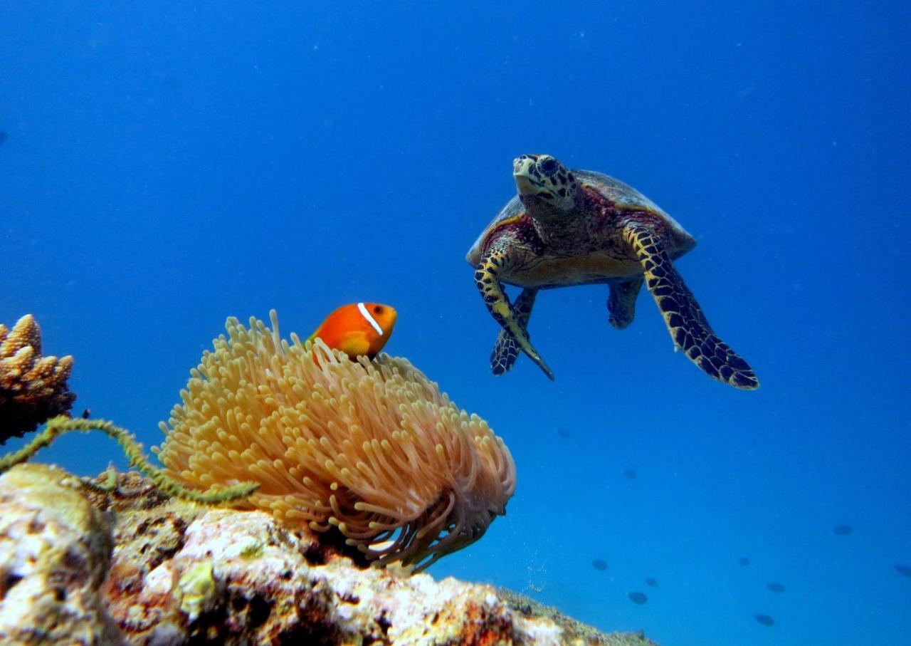 Equa Reef Maldives Otel Addu City Dış mekan fotoğraf