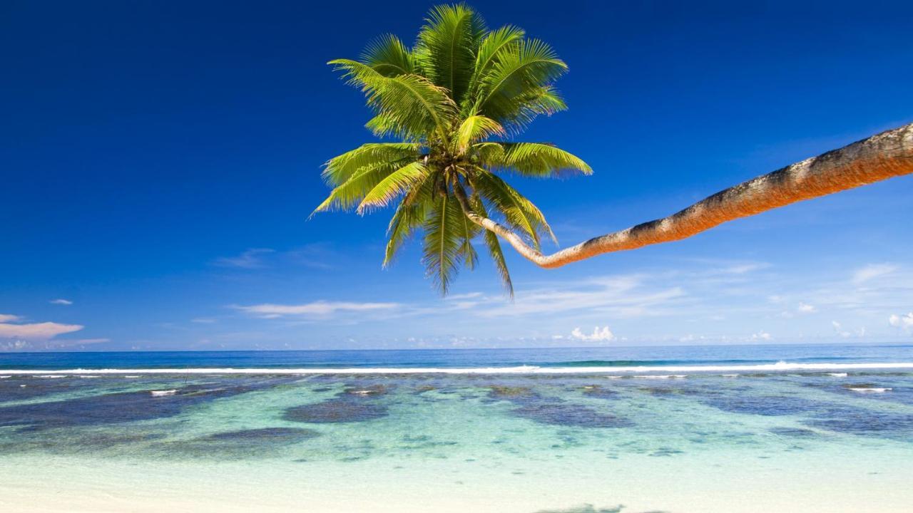 Equa Reef Maldives Otel Addu City Dış mekan fotoğraf