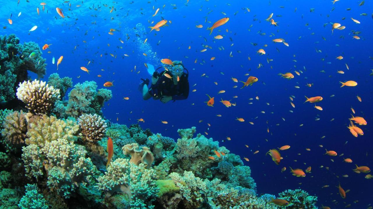 Equa Reef Maldives Otel Addu City Dış mekan fotoğraf