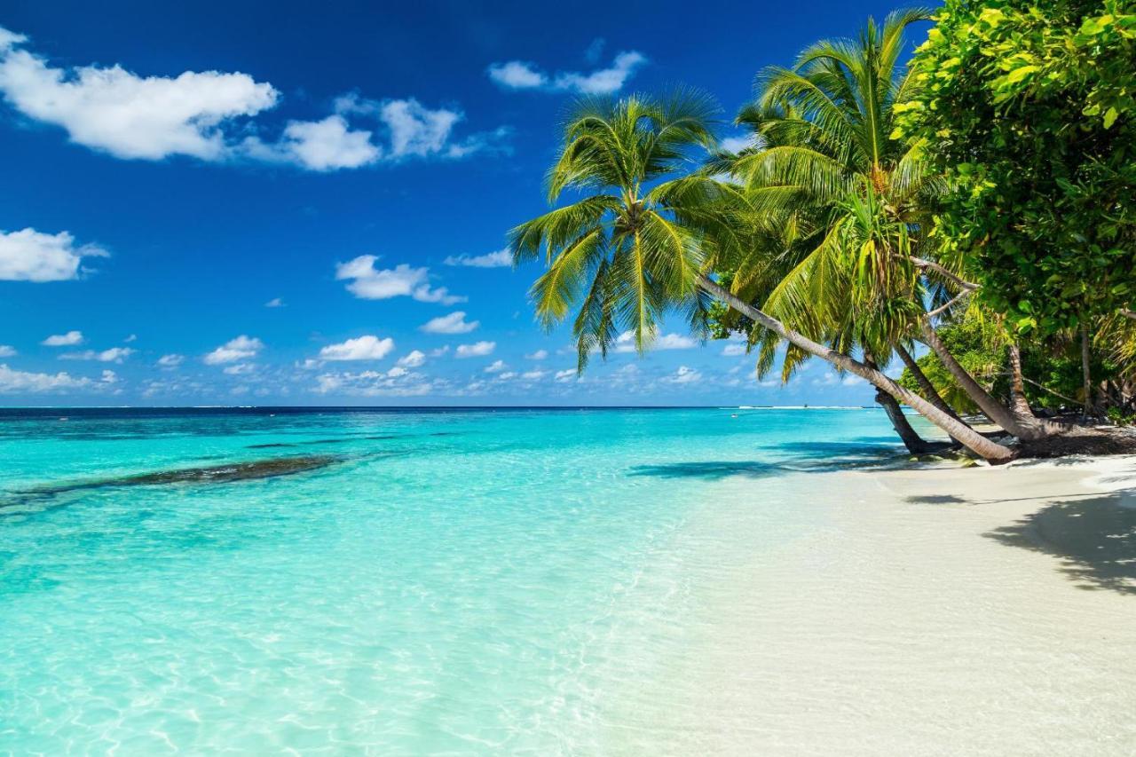 Equa Reef Maldives Otel Addu City Dış mekan fotoğraf