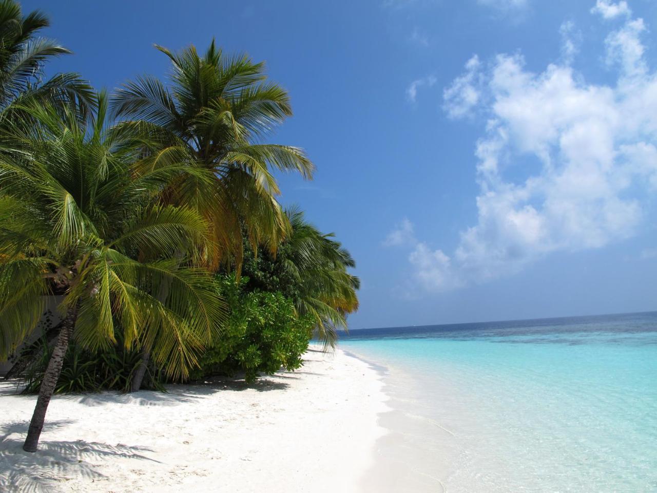 Equa Reef Maldives Otel Addu City Dış mekan fotoğraf
